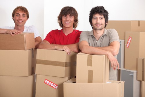 House move loading into a removals van